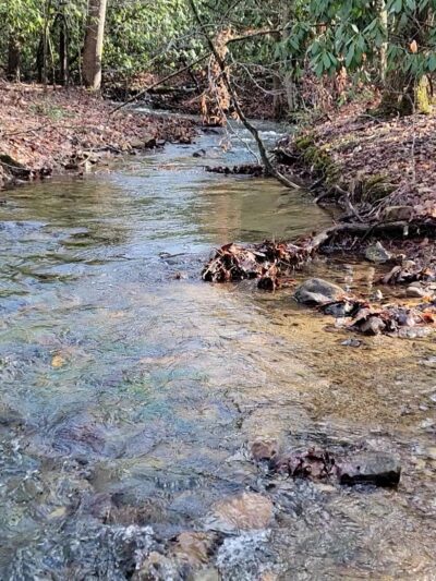 Crystal Springs Recreation Area - Wytheville, VA