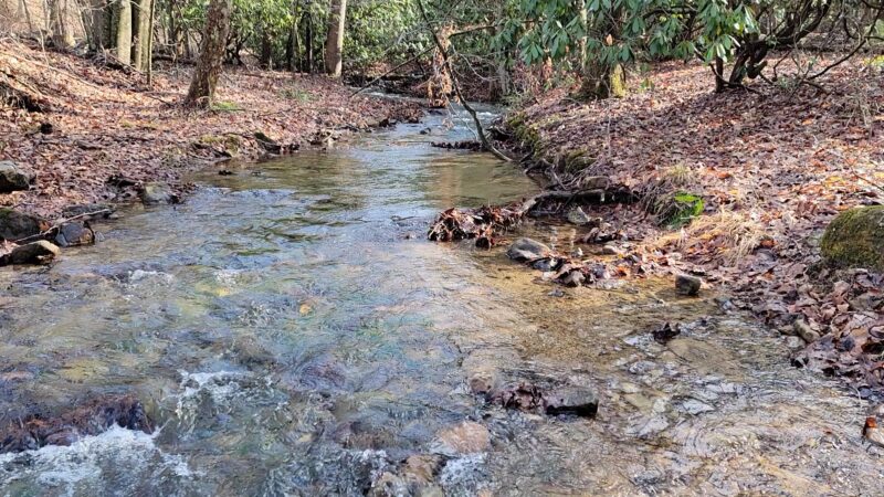 Crystal Springs Recreation Area - Wytheville, VA