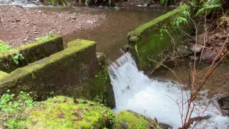 Starr Creek Reservoir - Yachats, OR