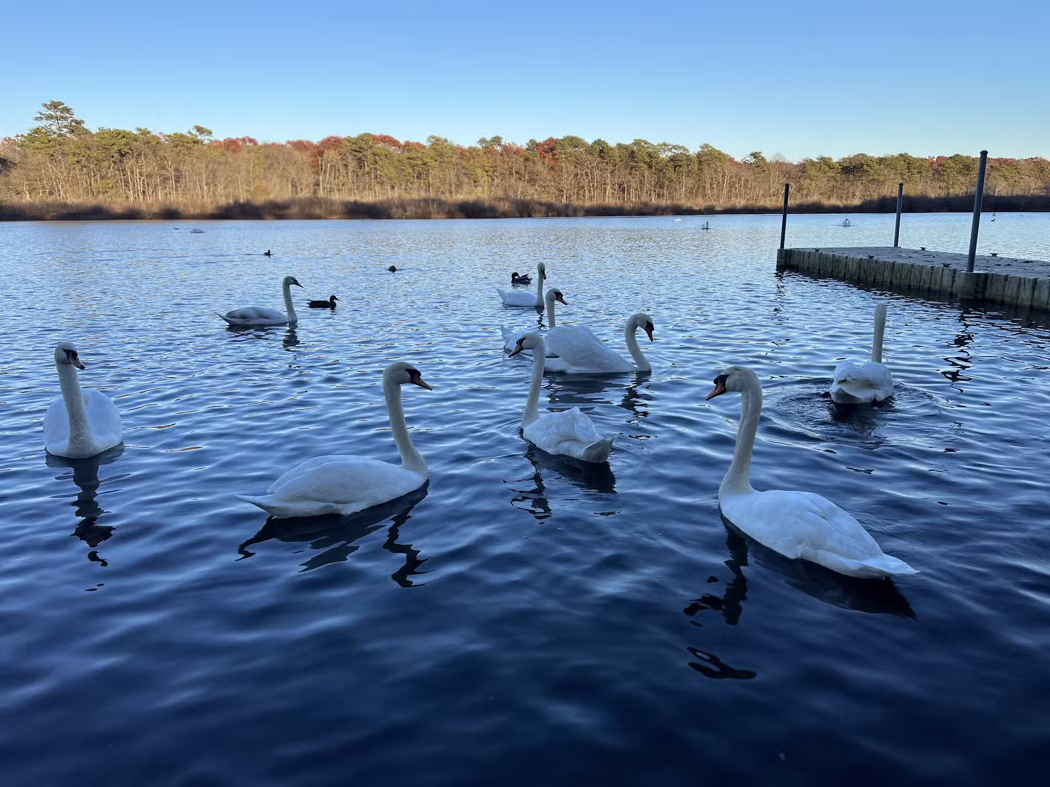 Southaven County Park - Yaphank, NY