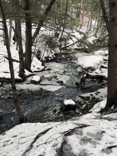 Pratt's Brook Park - Yarmouth, ME