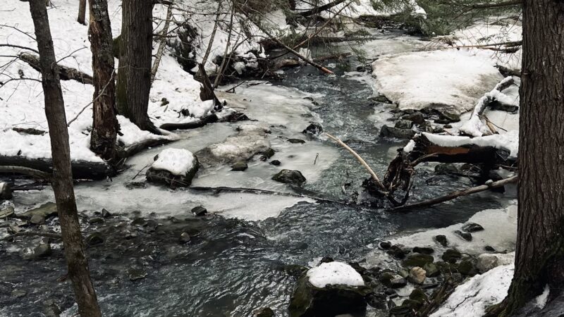 Pratt's Brook Park - Yarmouth, ME