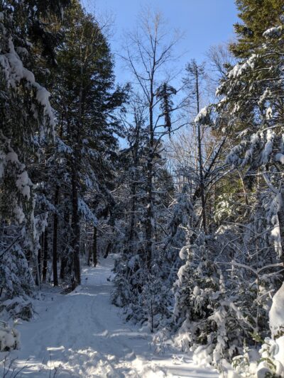 Pratt's Brook Park - Yarmouth, ME