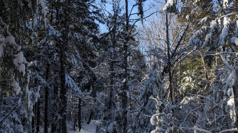 Pratt's Brook Park - Yarmouth, ME