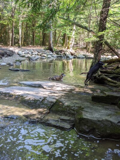 Pratt's Brook Park - Yarmouth, ME