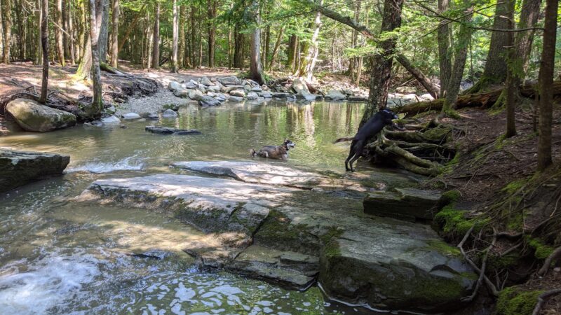 Pratt's Brook Park - Yarmouth, ME