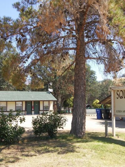 Squaw Valley Motel - Yokuts Valley, CA