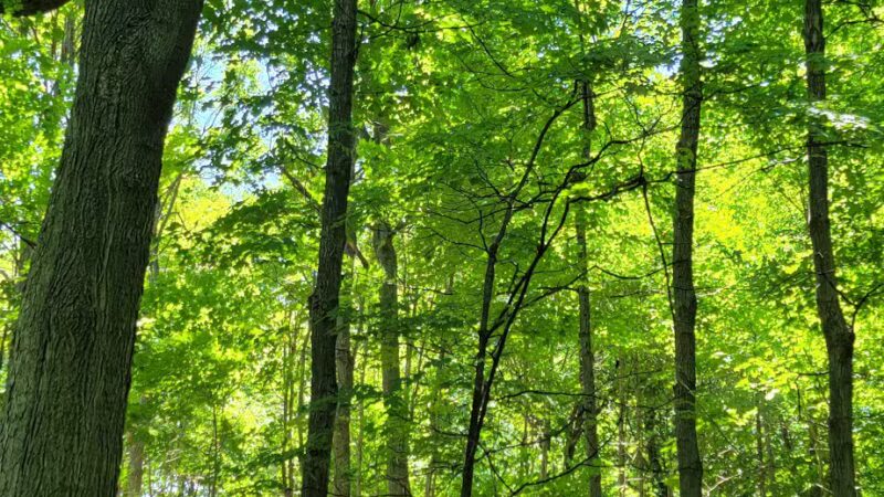 Anthony O'Boyle Memorial Park - Yonkers, NY