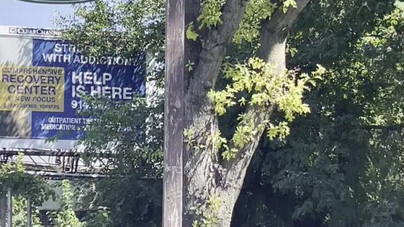Doyle Park - Yonkers, NY