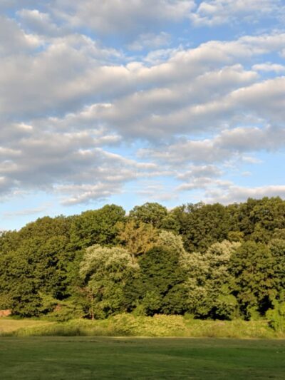 H F Redmond Junior Memorial Park - Yonkers, NY
