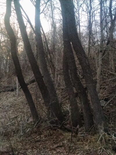 H F Redmond Junior Memorial Park - Yonkers, NY