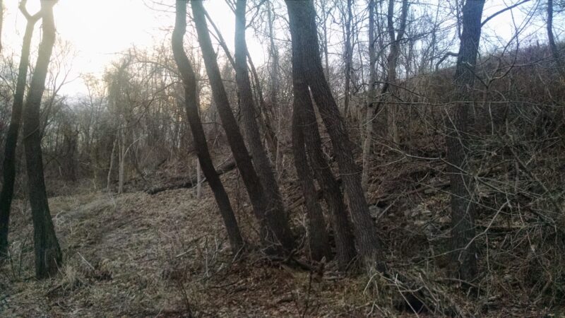 H F Redmond Junior Memorial Park - Yonkers, NY