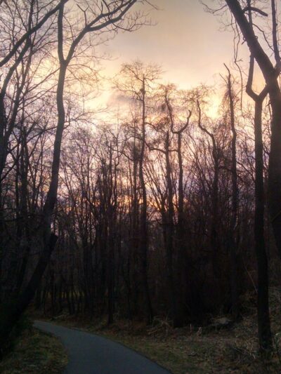 H F Redmond Junior Memorial Park - Yonkers, NY