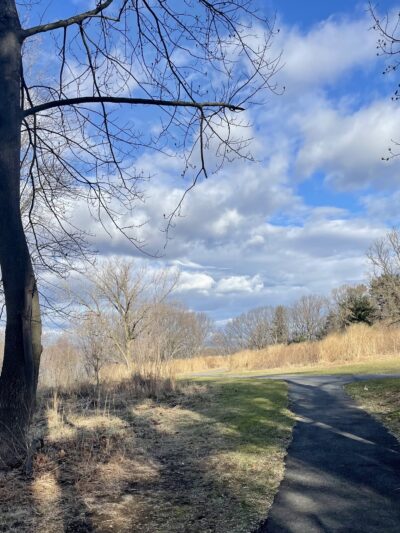 Lenoir Preserve - Yonkers, NY