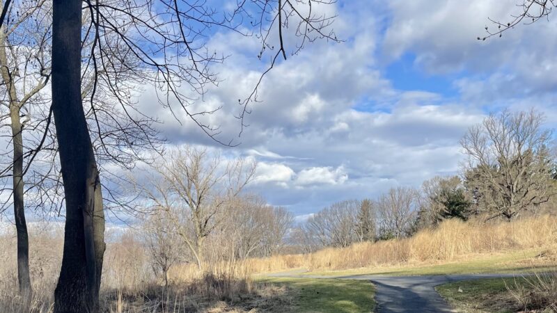 Lenoir Preserve - Yonkers, NY