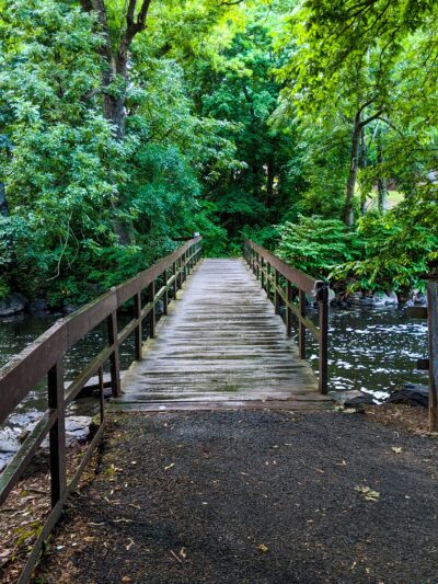 Malcolm Wilson County Park - Yonkers, NY