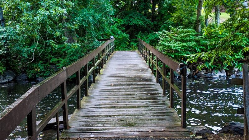 Malcolm Wilson County Park - Yonkers, NY