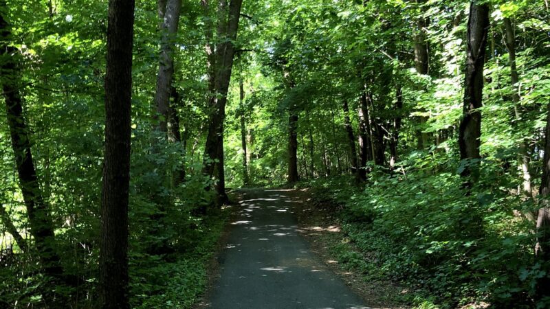 Malcolm Wilson County Park - Yonkers, NY