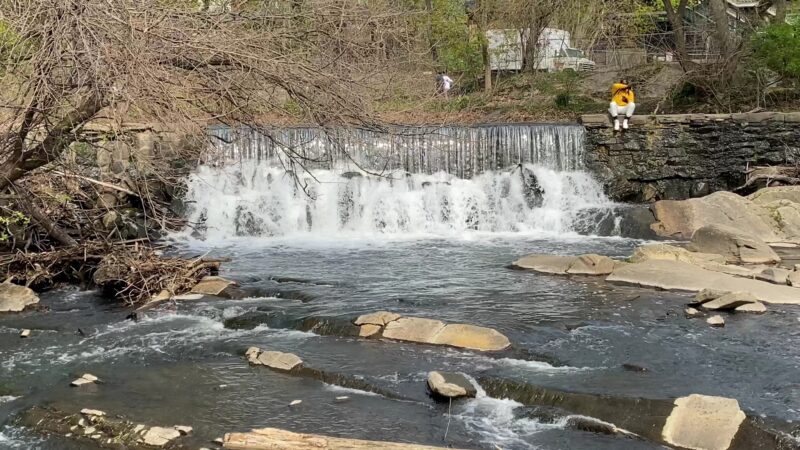 Malcolm Wilson County Park - Yonkers, NY