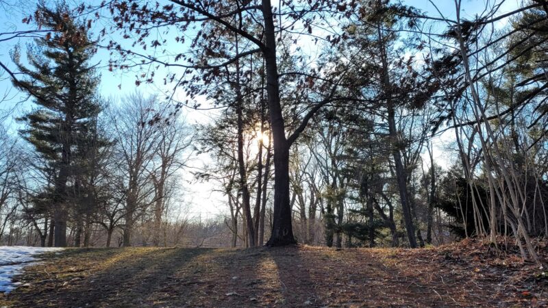 Malcolm Wilson County Park - Yonkers, NY