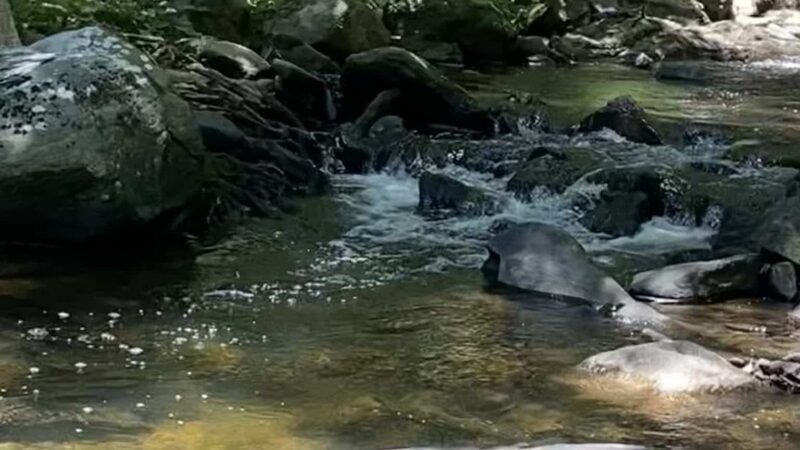 Old Croton Aqueduct Trailhead - Yonkers, NY
