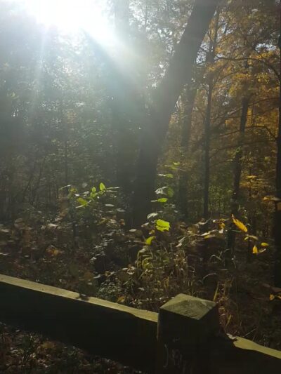 Old Croton Aqueduct Trailhead - Yonkers, NY