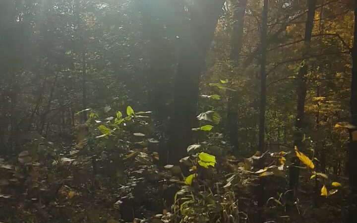 Old Croton Aqueduct Trailhead - Yonkers, NY