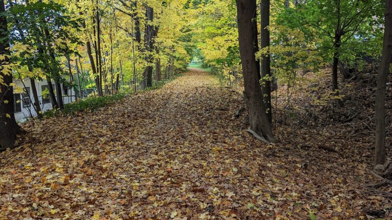 Old Croton Aqueduct Trailhead - Yonkers, NY