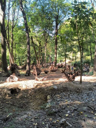 Otis Park - Yonkers, NY