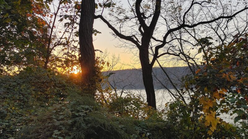 Otis Park - Yonkers, NY