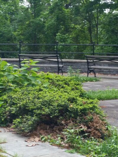 Otis Park - Yonkers, NY