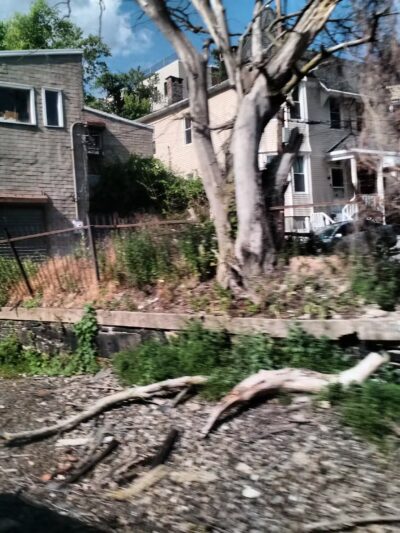 Ravine Park - Yonkers, NY