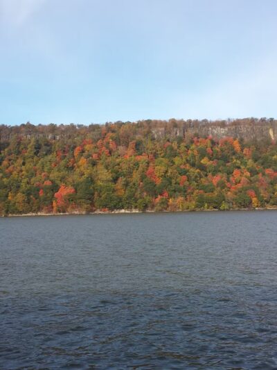 Ravine Park - Yonkers, NY