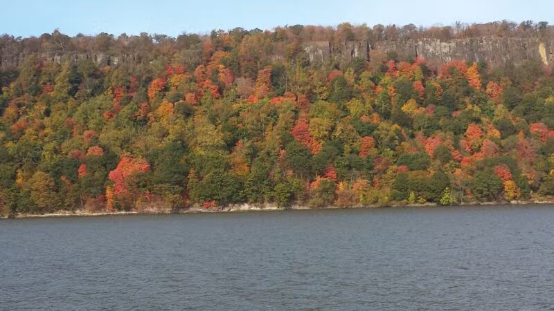 Ravine Park - Yonkers, NY