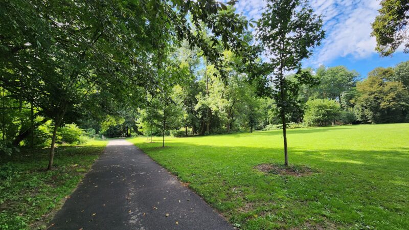 Scout Field - Yonkers, NY