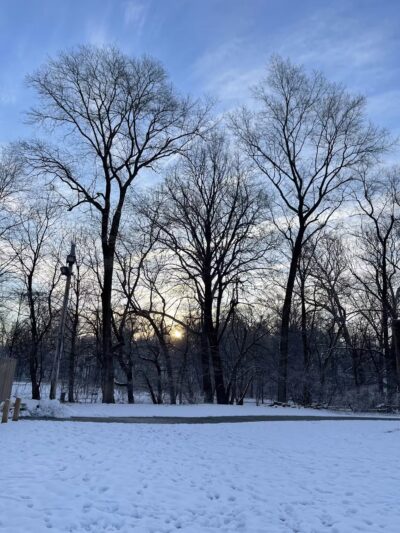 Scout Field - Yonkers, NY