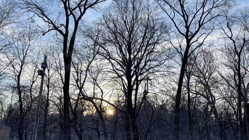 Scout Field - Yonkers, NY