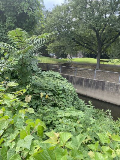 Stefanik Park - Yonkers, NY