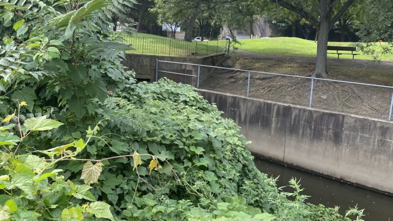 Stefanik Park - Yonkers, NY