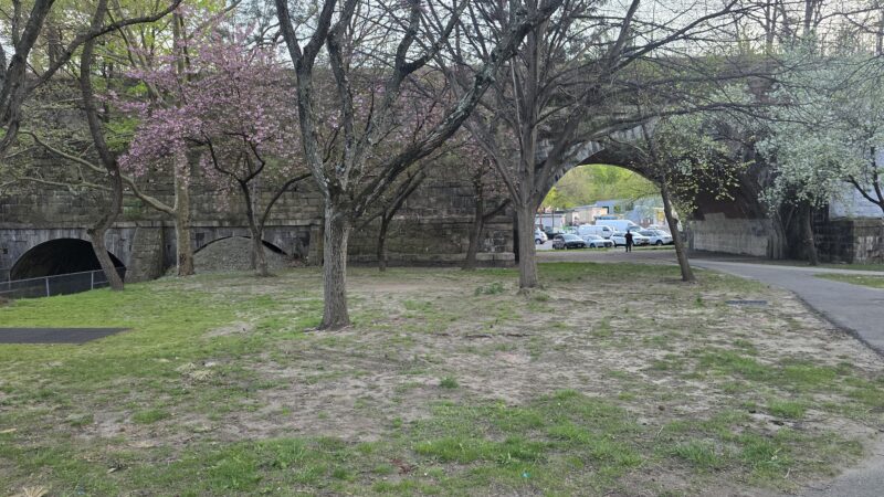 Stefanik Park - Yonkers, NY