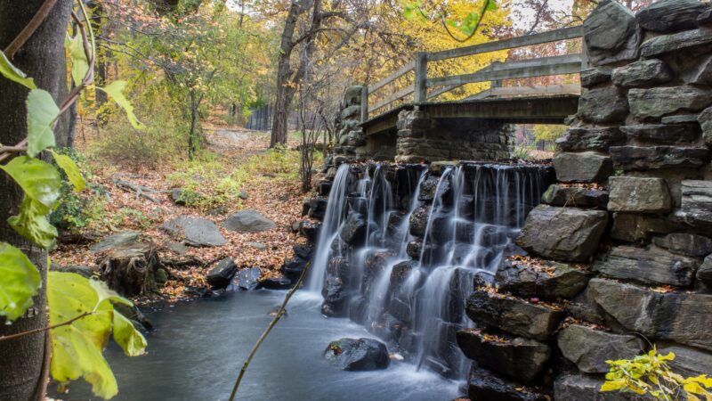 Tibbetts Brook Park - Yonkers, NY