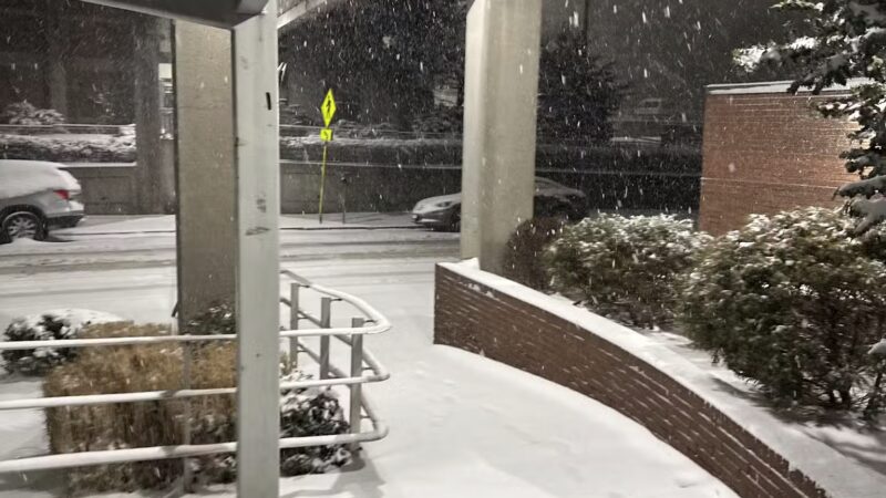 Vark Street Park - Yonkers, NY