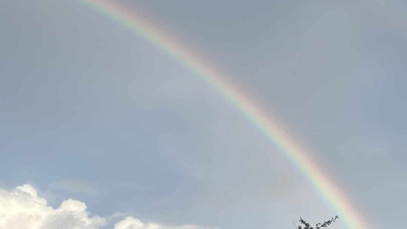 Yonkers Parks Department - Yonkers, NY