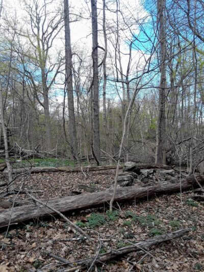 Welty Park - Yonkers, NY