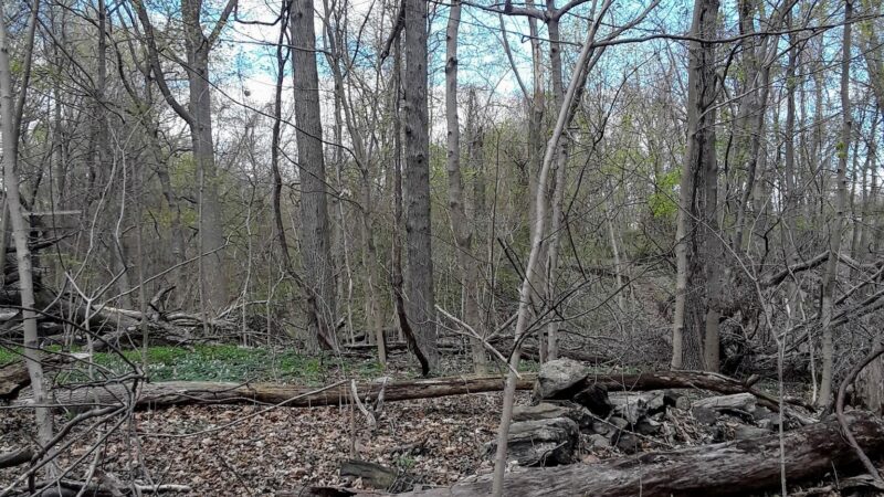 Welty Park - Yonkers, NY