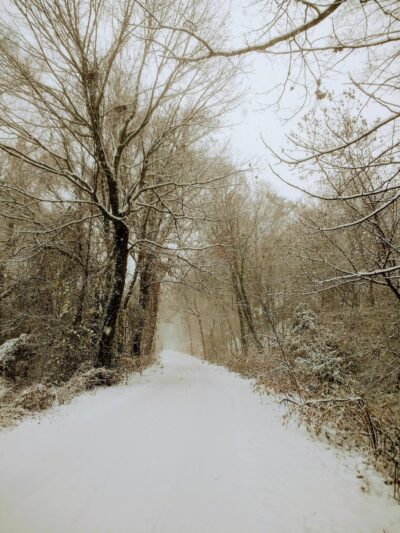 Welty Park - Yonkers, NY