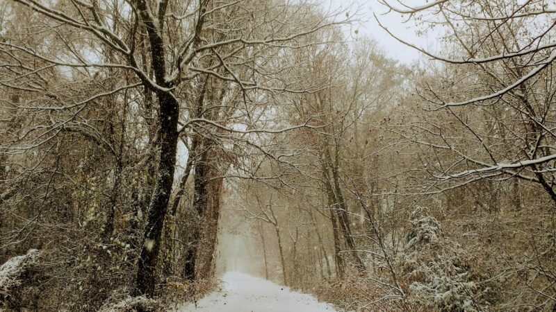 Welty Park - Yonkers, NY