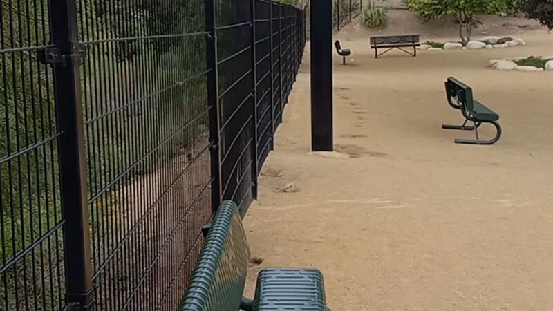 Checkers Dog Park - Yorba Linda, CA