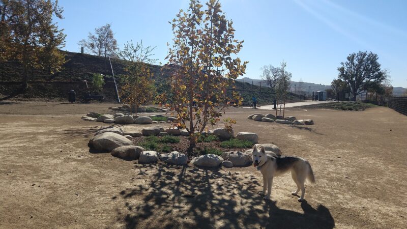 Checkers Dog Park - Yorba Linda, CA