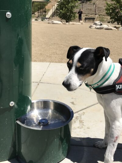 Checkers Dog Park - Yorba Linda, CA